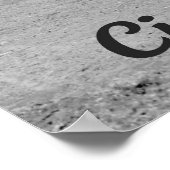 Coney Island Entrance Poster (Hoek)