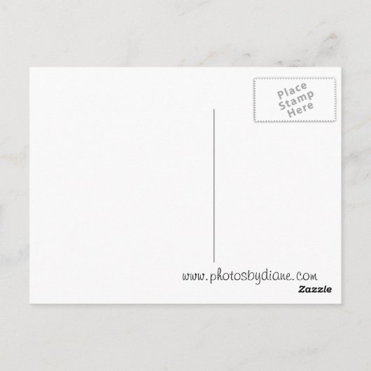 Coney Island Ferris Wheel Briefkaart (Achterkant)