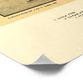 Coney Island, NY Panoramic Map - 1906 Poster (Hoek)