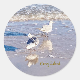 Coney Island Seagulls Ronde Sticker