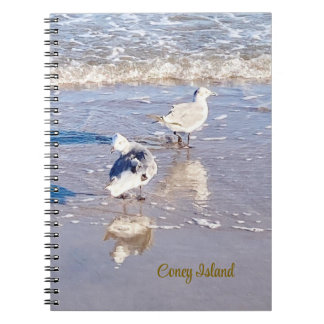 Coney Island Zeemeeuwen Notitieboek