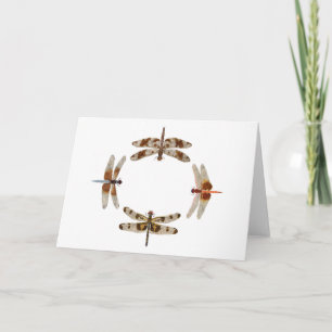 Conferentie van Draken Kaart