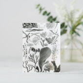 Conferra Fucus Briefkaart (Staand voorkant)