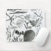 Conferra Fucus Muismat (Met muis)