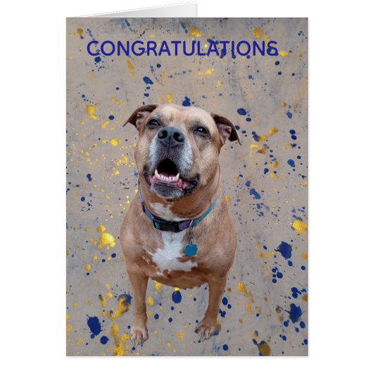 Confetti Congratulations Card (Devant)