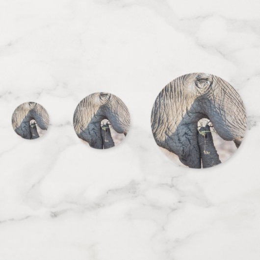 Confettis Alimentation des éléphants (Derrière)