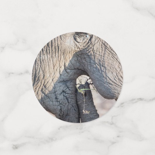 Confettis Alimentation des éléphants (Petit recto)