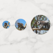 Confettis Australian Koala Bears, (Devant)