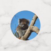 Confettis Australian Koala Bears, (Petit recto)