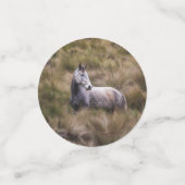 Confettis Beau cheval gris couleur (Petit recto)