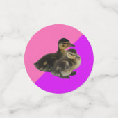 Confettis Bébé Canards sur framboise rose et sorbet pourpre (Petit recto)