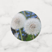 Confettis bleu, beurtasse, plante, pissenlit, prairie, blanc (Petit recto)