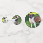 Confettis Boxer (Devant)