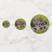 Confettis Capybaras De Mère Et De Bébé, (Devant)