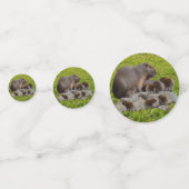 Confettis Capybaras De Mère Et De Bébé, (Derrière)