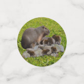 Confettis Capybaras De Mère Et De Bébé, (Petit recto)