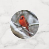 Confettis Cardinal masculin (Petit recto)