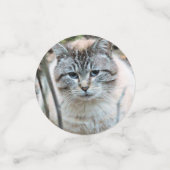 Confettis Cat (Petit recto)
