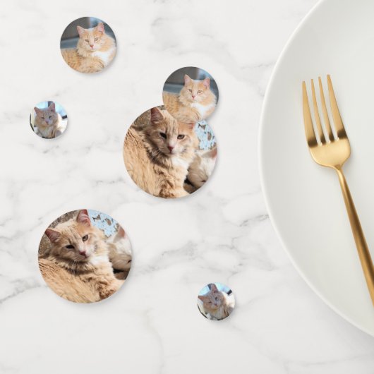 Confettis Cat (Groupe)