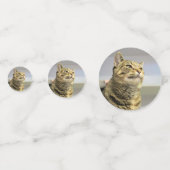Confettis Cat (Devant)