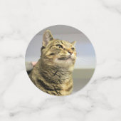 Confettis Cat (Petit recto)