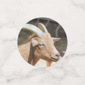 Confettis Chèvre (Petit recto)