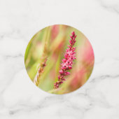 Confettis coloris (Petit recto)