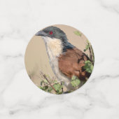 Confettis Coucal de Burchell (Petit recto)