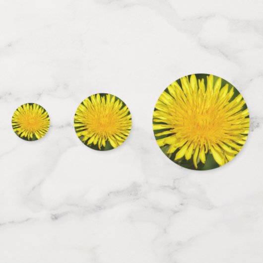 Confettis Dandelion jaune (Derrière)