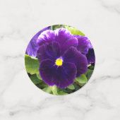 Confettis De Belles Pansies De Danse, (Petit recto)