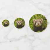 Confettis Ferret Brown dans l'herbe Photo Anniversaire (Devant)