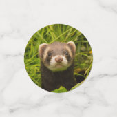 Confettis Ferret Brown dans l'herbe Photo Anniversaire (Petit recto)