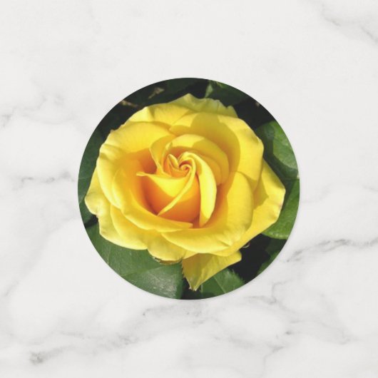 Confettis Fleurs (Petit recto)