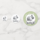 Confettis Fluffez le lapin. Dessin au crayon. (Derrière)