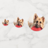 Confettis Frisbee (Derrière)