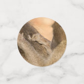 Confettis Grooming baboons (Petit recto)