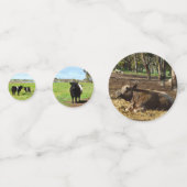Confettis Images De Vaches Mixtes, (Devant)