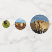 Confettis Images De Vaches Mixtes, (Derrière)
