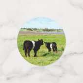 Confettis Images De Vaches Mixtes, (Petit recto)