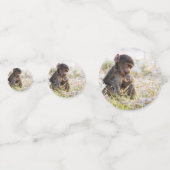 Confettis Jeune Baboon (Derrière)