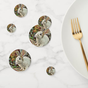 Confettis lapin toony