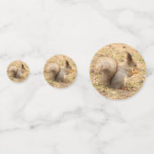 Confettis L'écureuil mignon mange une photo de noix (Devant)