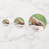 Confettis Lézard plaqué (Derrière)