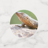 Confettis Lézard plaqué (Petit recto)