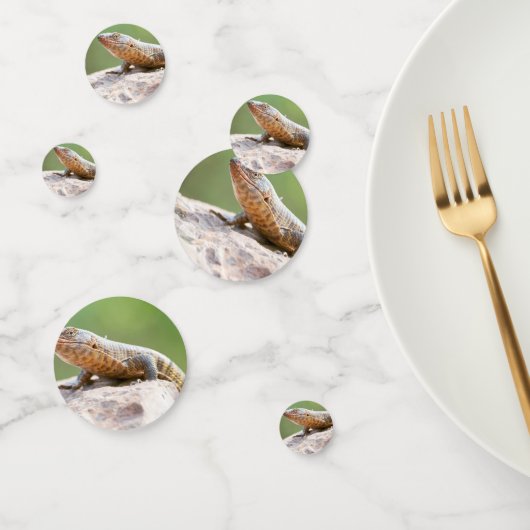 Confettis Lézard plaqué (Groupe)