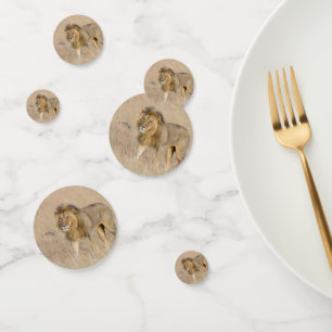 Confettis Lion marche
