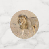 Confettis Lion marche (Petit recto)