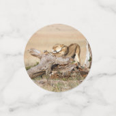 Confettis Lioness stretching (Petit recto)