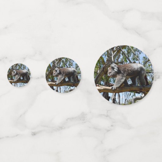 Confettis L'ours Koala australien, (Derrière)