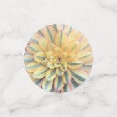 Confettis Mélange coloré de succulents (Petit recto)